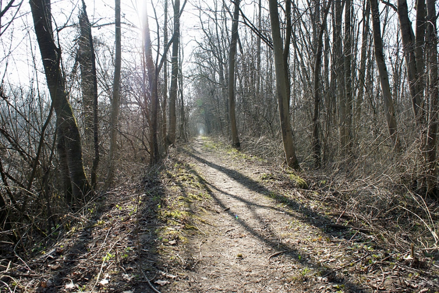 Naturschutzgebiet Traunauen (c) Stern&Kringel
